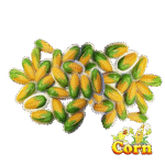 CORN 3D SOFT CANNDY - Image 2